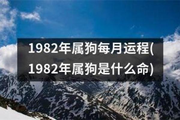 93年属狗人的命运与未来发展分析