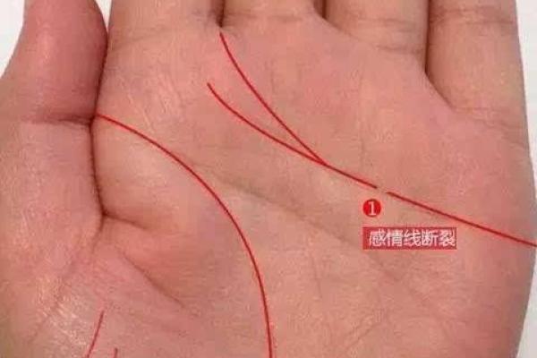 探秘手相中的桃花运：如何判断你的感情运势