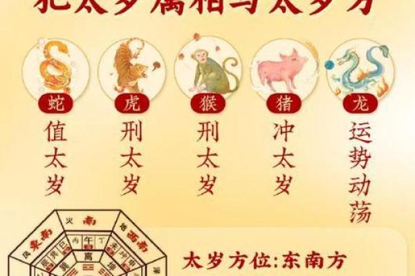 1966年属什么生肖与命运解析：寻找到属于你的方向
