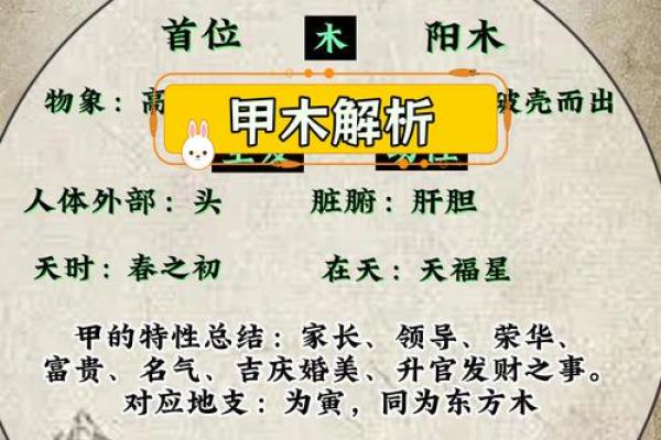 甲木命的秘密：了解甲木命人的性格与命运