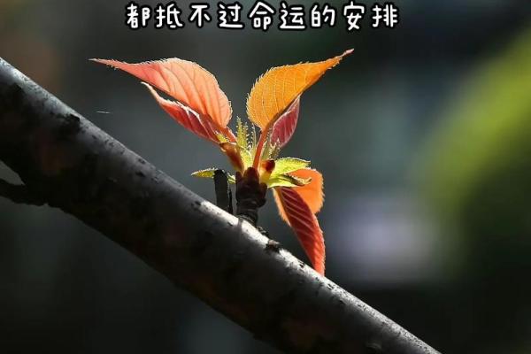 戴金项链对命运的影响：让你的人生焕然一新!