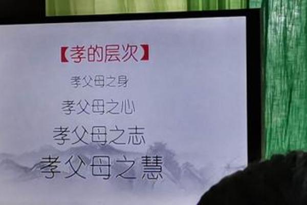 1995年2月13日出生的人命运解析：探索成功与幸福之路