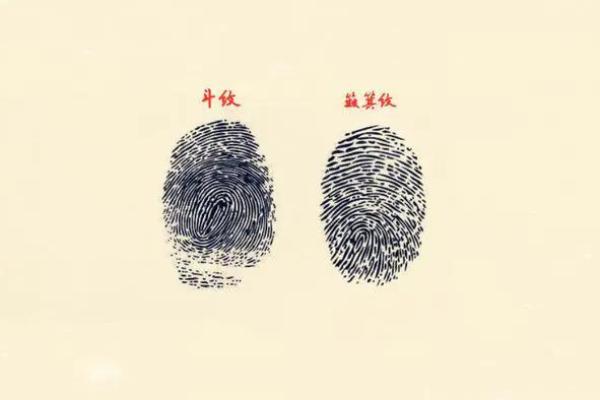 老公赌博的命格：解锁他的性格与运势之谜
