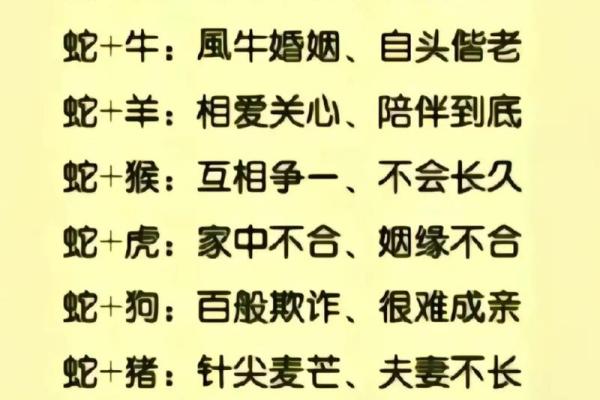 52年属蛇的命运分析：解密生肖与人生先机