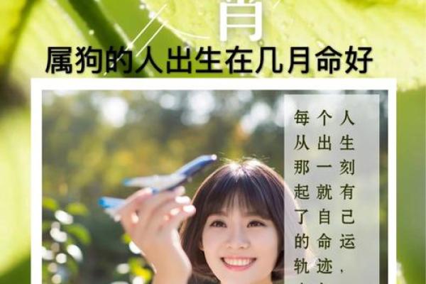 探秘阴历六月狗年出生者的命格与性格特征
