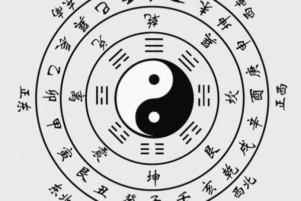 揭开“轻命”之谜：生活中的轻盈与取舍之道