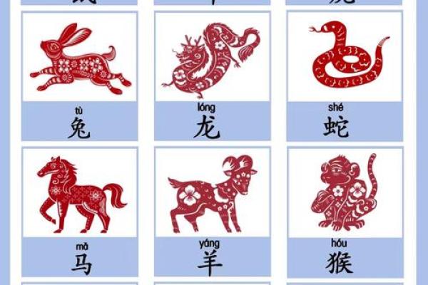 探索2008年出生的鼠命：命理与性格的奥秘