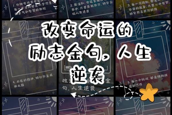 2019年2月的命运启示：如何把握人生中的每一次机会