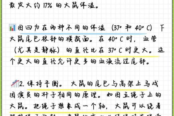 探寻猪尾巴老鼠头命理的奥秘，解读动物与命运的奇妙联系