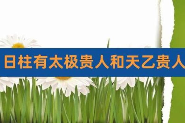 女命有太极，命理与性格的深刻关联