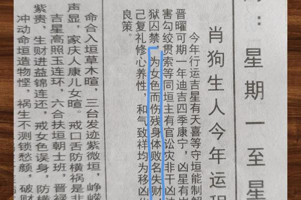 2006年属狗男孩的命运与性格分析：揭示他们的未来之路
