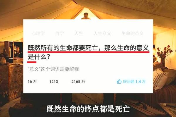 86岁老鼠的传奇人生：在岁月中寻找生命的意义