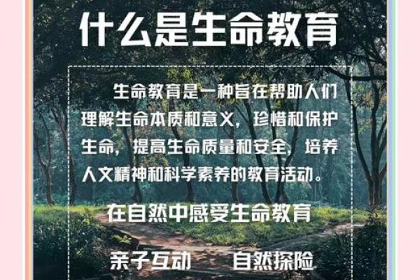 1955年出生的命运揭秘：解锁生命的奥秘与价值