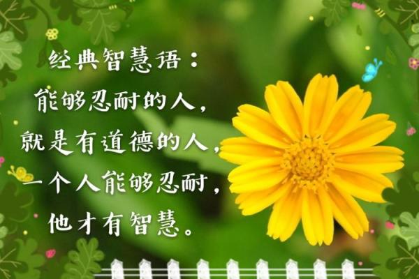 命格真龙天子：古代智慧与现代生活的完美结合