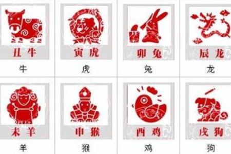 探索命格中的生肖奥秘：解读你的生肖动物与命运的关系