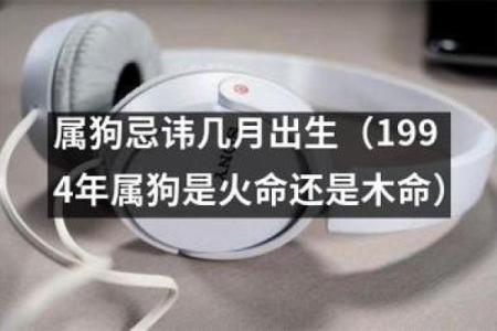93年属狗人的命运与未来发展分析