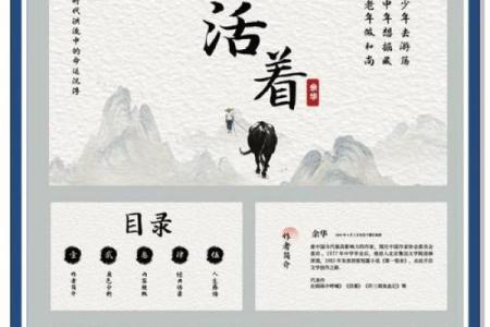 一九八五年出生的命运与人生：探索个体的光辉与挑战