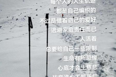 1994年正月二十三：揭秘你的命运与人生轨迹