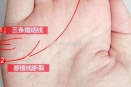 探秘手相中的桃花运：如何判断你的感情运势