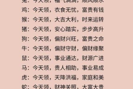 七四年的生肖与命运：解读1974年的秘密与智慧