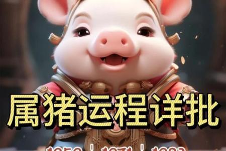 属猪命里适合的水晶选择，让你的运势更旺盛！