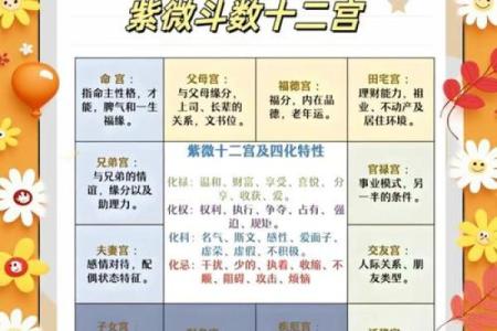 用什么APP看命盘？掌握人生的秘密，从此不再迷茫！
