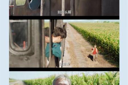 96年腊月十七出生的命运解析：探索人生的精彩与挑战