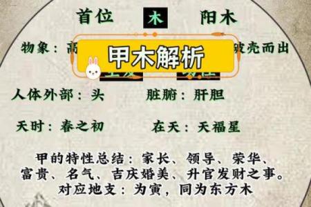 甲木命的秘密：了解甲木命人的性格与命运