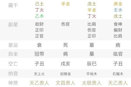 探索2023年10月宝宝命运：男孩出生的五大命格解析