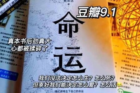1995年出生的命运：岁月的印记与人生轨迹