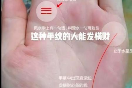 94年出生命运解析：命中的秘密与未来的指引
