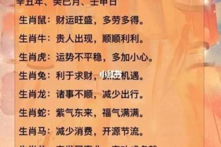辰时出生的属猪男孩：命理与性格的完美结合