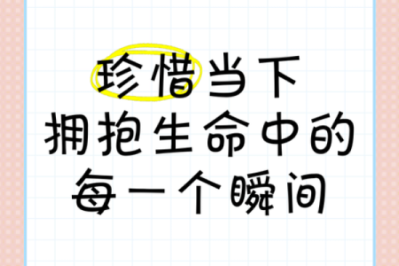 多情的命：在爱与人生的旅途中寻找到的温暖与遗憾