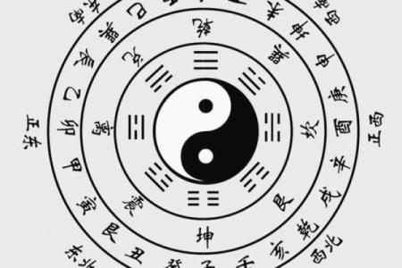 揭开“轻命”之谜：生活中的轻盈与取舍之道