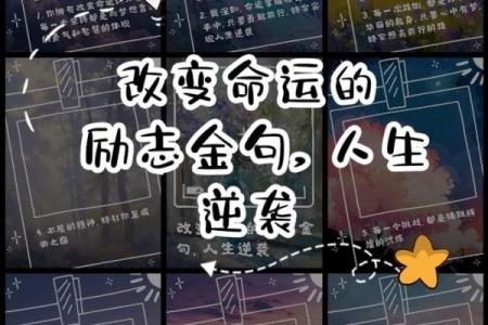 2019年2月的命运启示：如何把握人生中的每一次机会