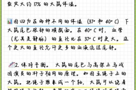 探寻猪尾巴老鼠头命理的奥秘，解读动物与命运的奇妙联系