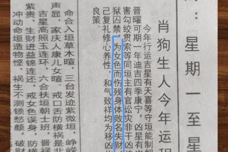 2006年属狗男孩的命运与性格分析：揭示他们的未来之路