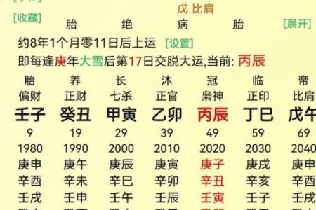 丙辰丁巳命的深度解析：探寻你的命理密码与生活指引