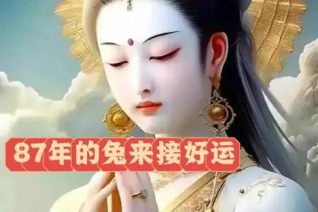 1999年卯兔的命运解析与人生启示