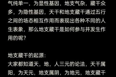 通过八字看男命绝招与女命玄机的奥秘探讨