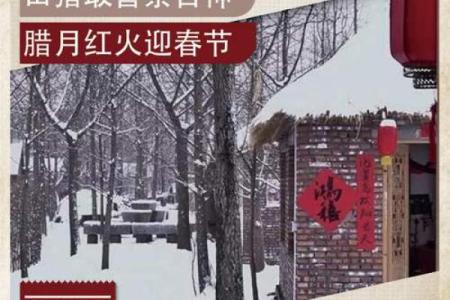 2011年腊月的命理解读与生活智慧分享