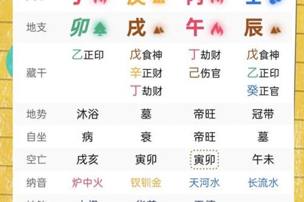 属兔命理解析：2011年出生兔宝宝的运势与人生轨迹