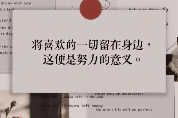 努力的意义：超越自我的旅程与实现梦想的追求