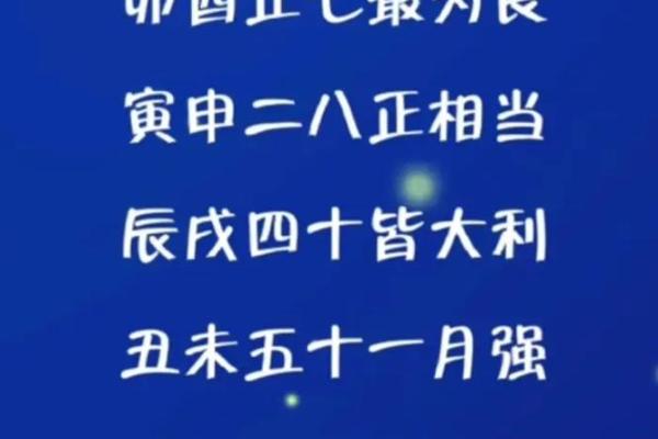 1995正月十二出生的人生命运解析：解密命理之道