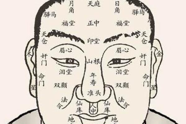 男命眉毛稀疏的深层含义与命理解析