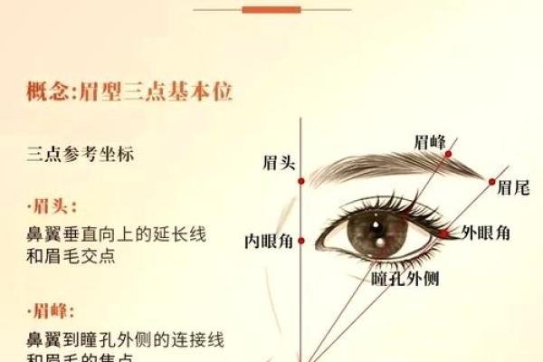 男命眉毛稀疏的深层含义与命理解析