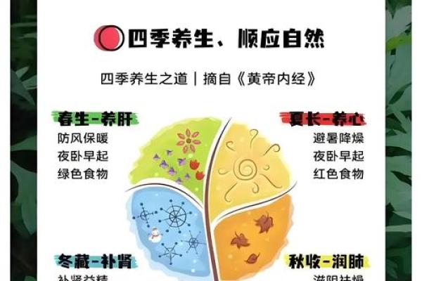 探索五行与命理：神秘文化的深邃智慧与生活启示
