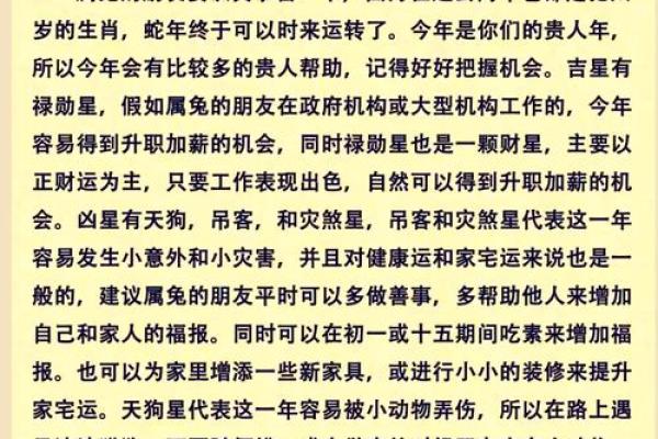 深入探讨：2013年兔年命运与性格特征解析