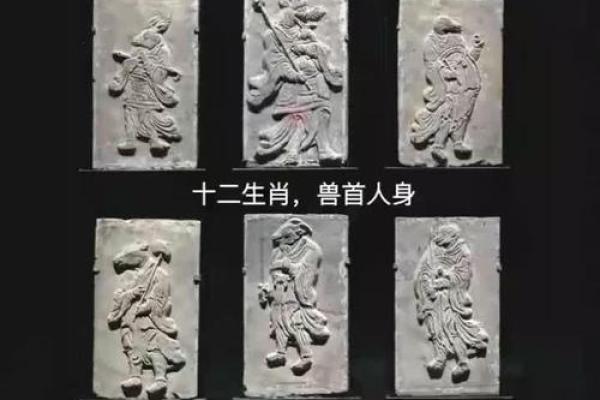 探秘“命贱”术语及其背后隐含的生肖谜团