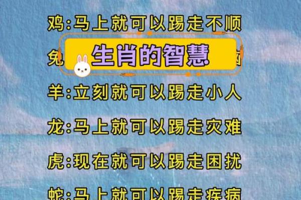 命运与属相：揭示人生真相的钥匙